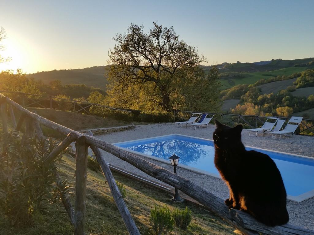 Agriturismo Tre Querce Penna San Giovanni Εξωτερικό φωτογραφία